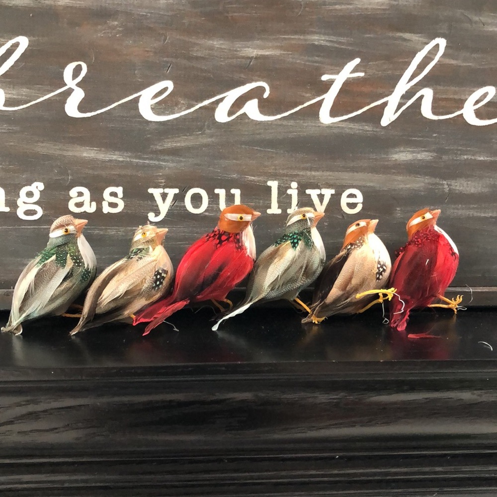 Set of 6 vintage decorative feathered birds